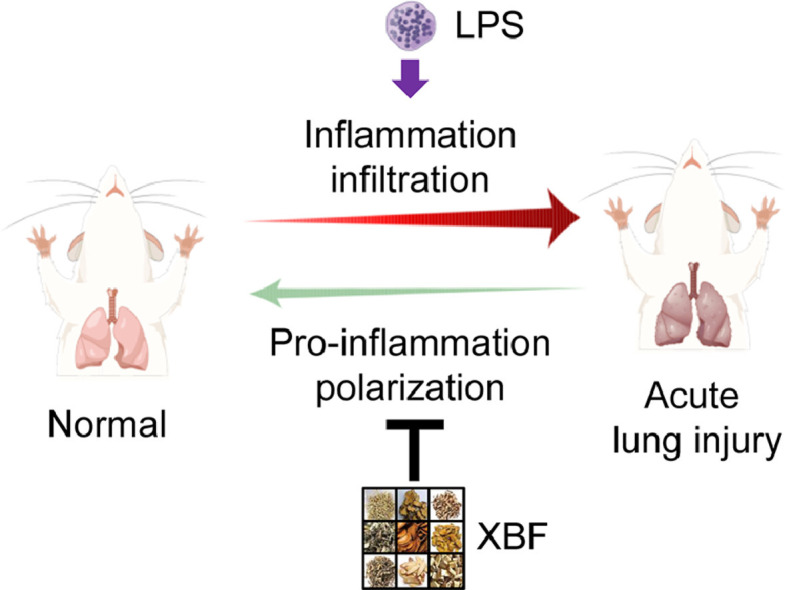 Image, graphical abstract