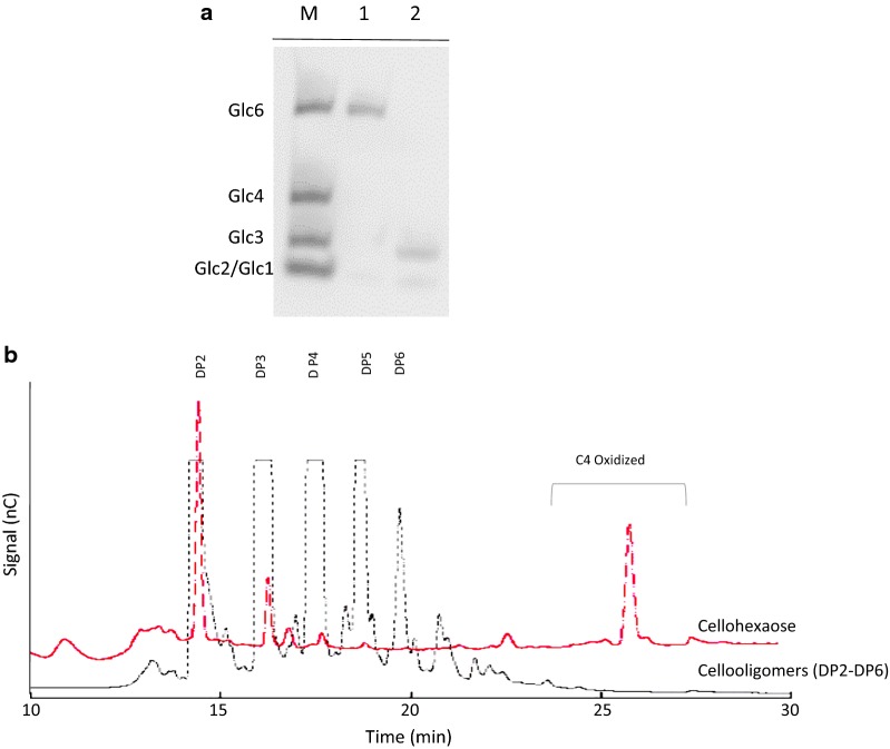 Fig. 3