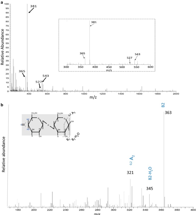 Fig. 4