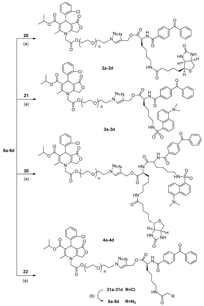 Scheme 4