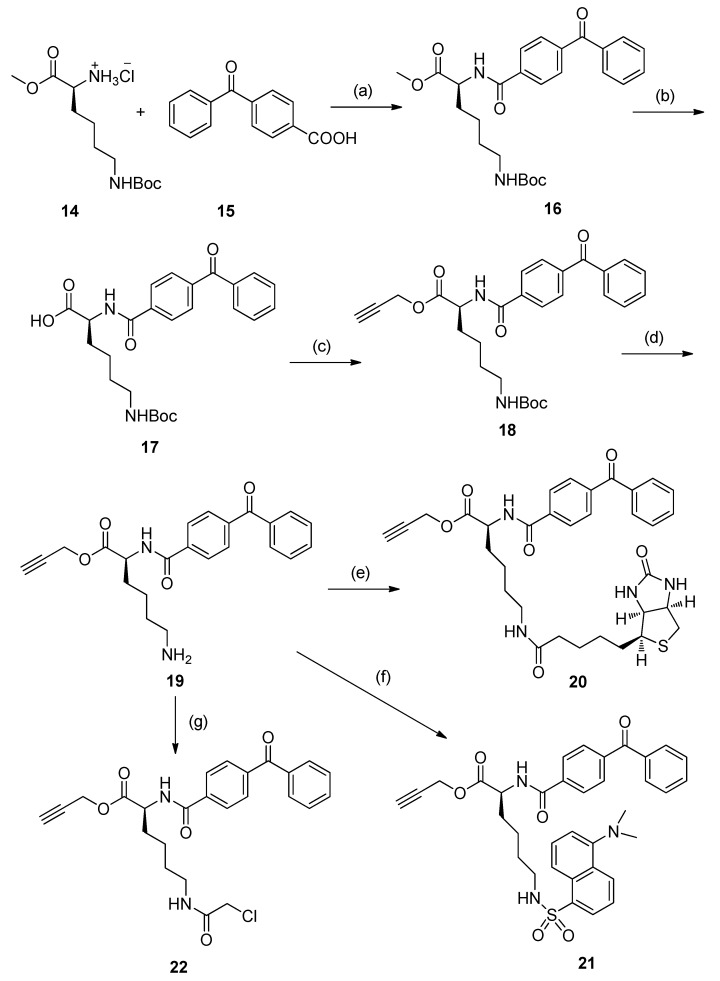Scheme 2