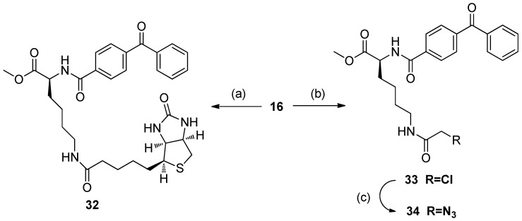 Scheme 5