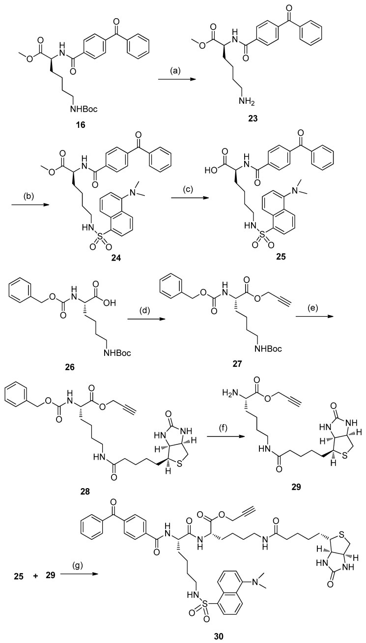 Scheme 3