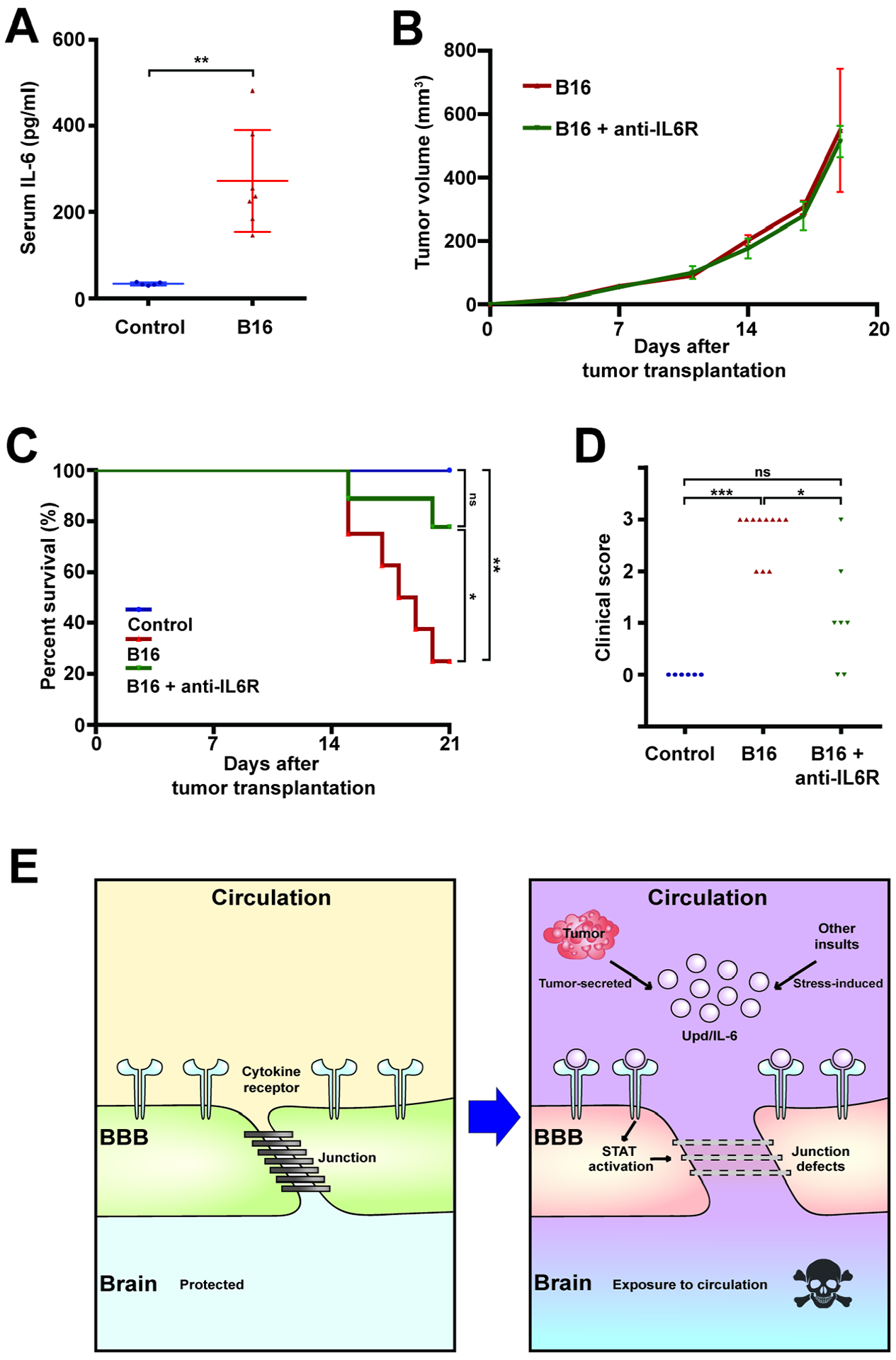 Figure 6.