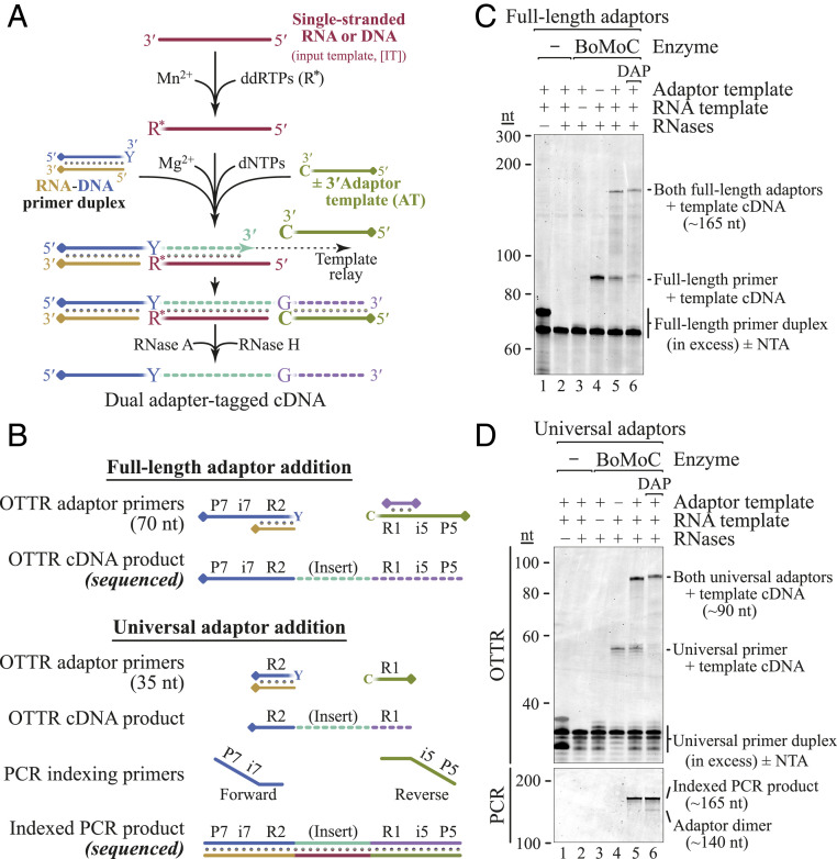 Fig. 3.