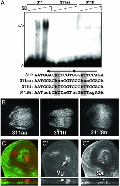 Fig. 4.