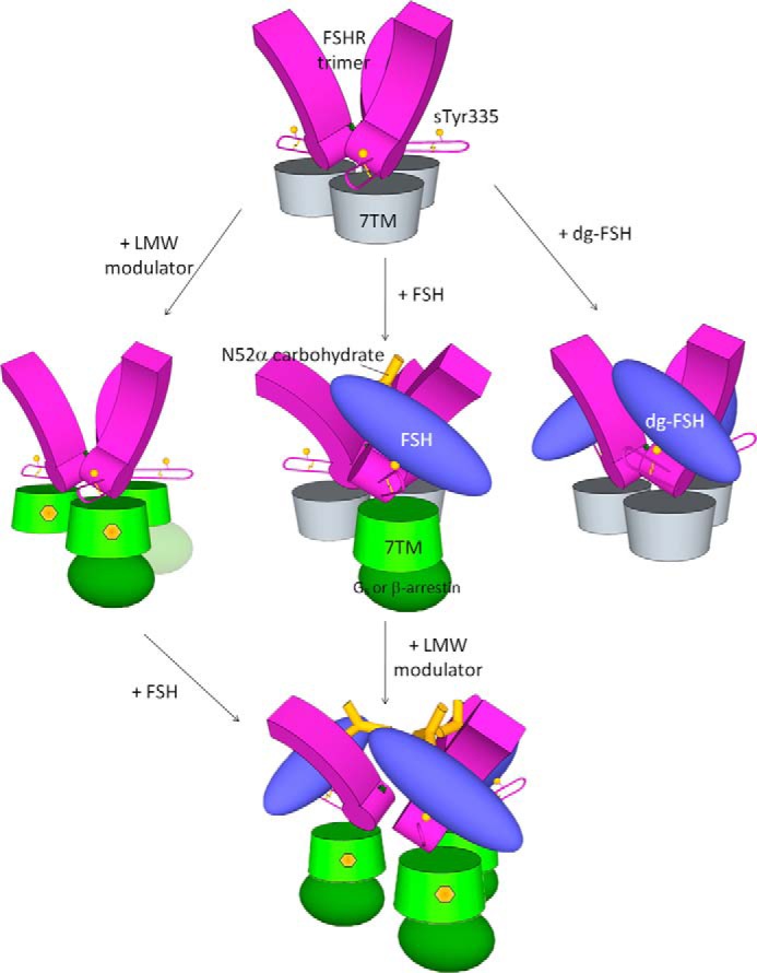 FIGURE 5.