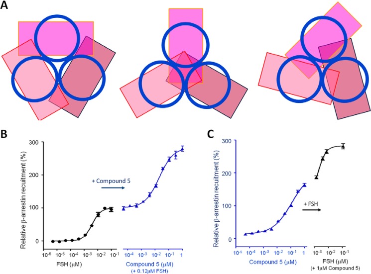 FIGURE 3.