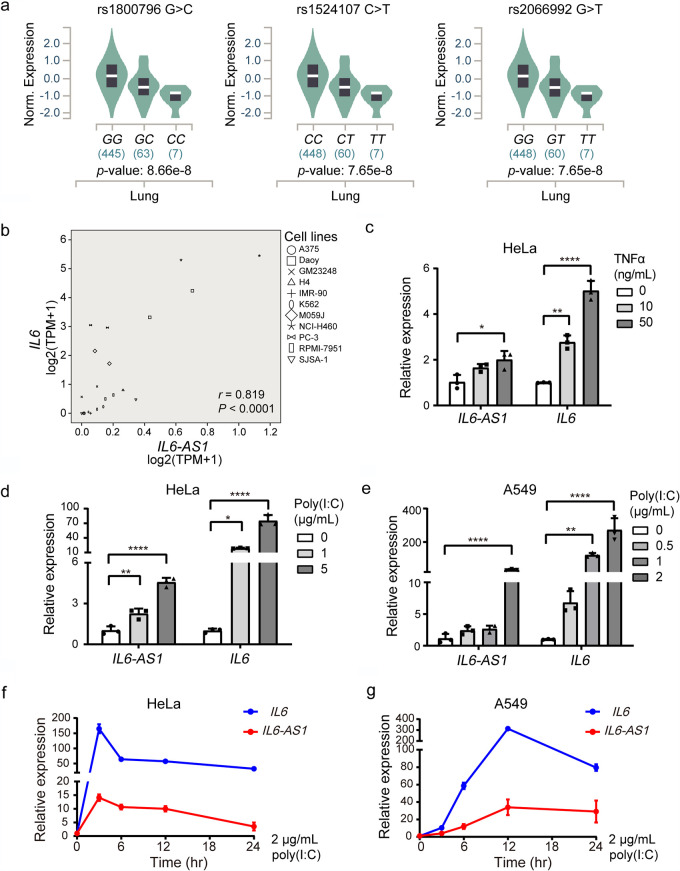 FIG 3