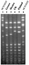 FIG. 2.