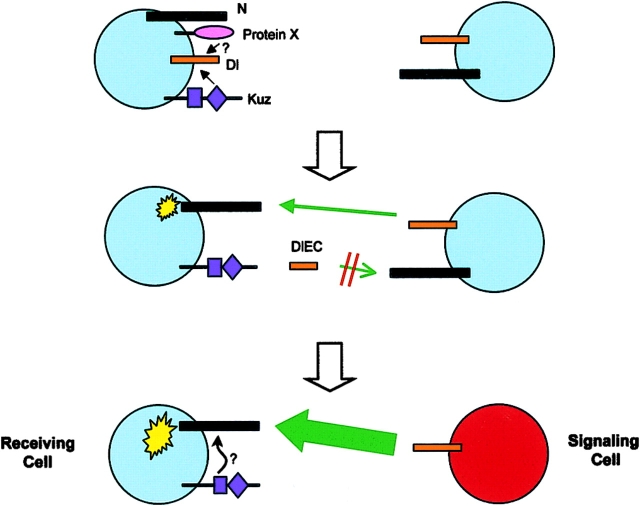 Figure 9.