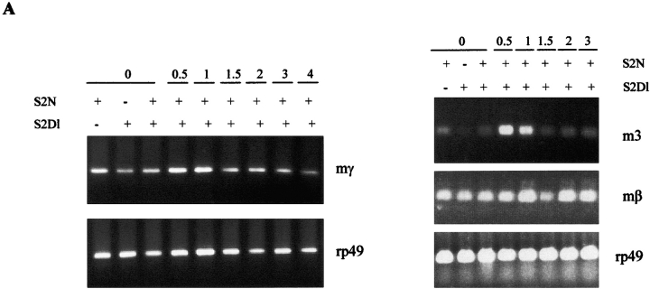 Figure 7.