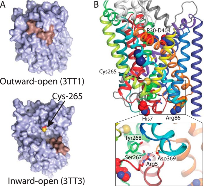 FIGURE 2.