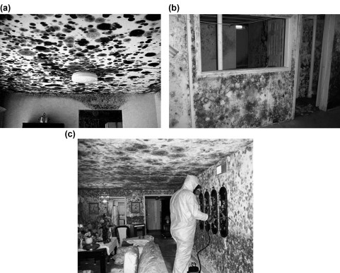 Figure 7.4