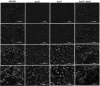 Figure. 5.