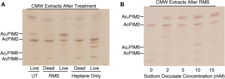 Fig. 3