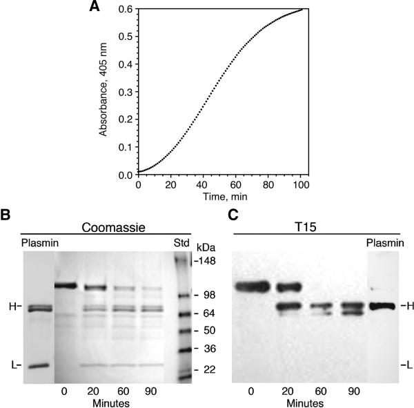 Fig. 4