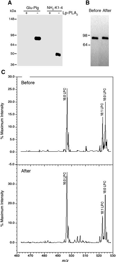 Fig. 5