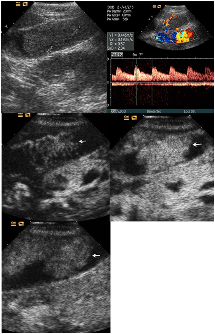 Figure 6