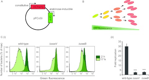 FIG 1 