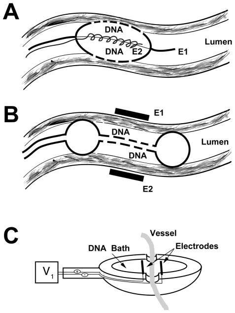 FIG. 1