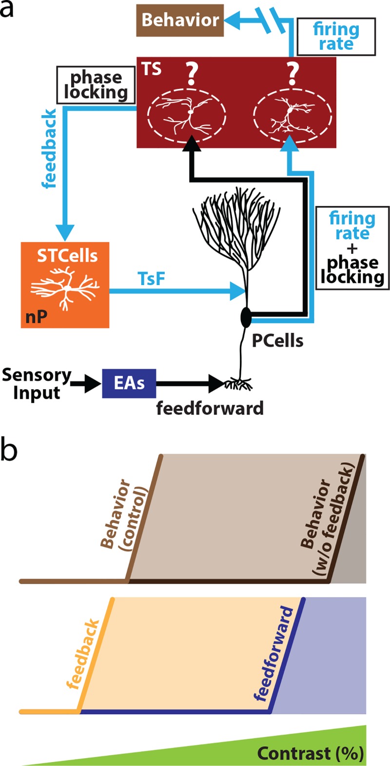 Fig 8