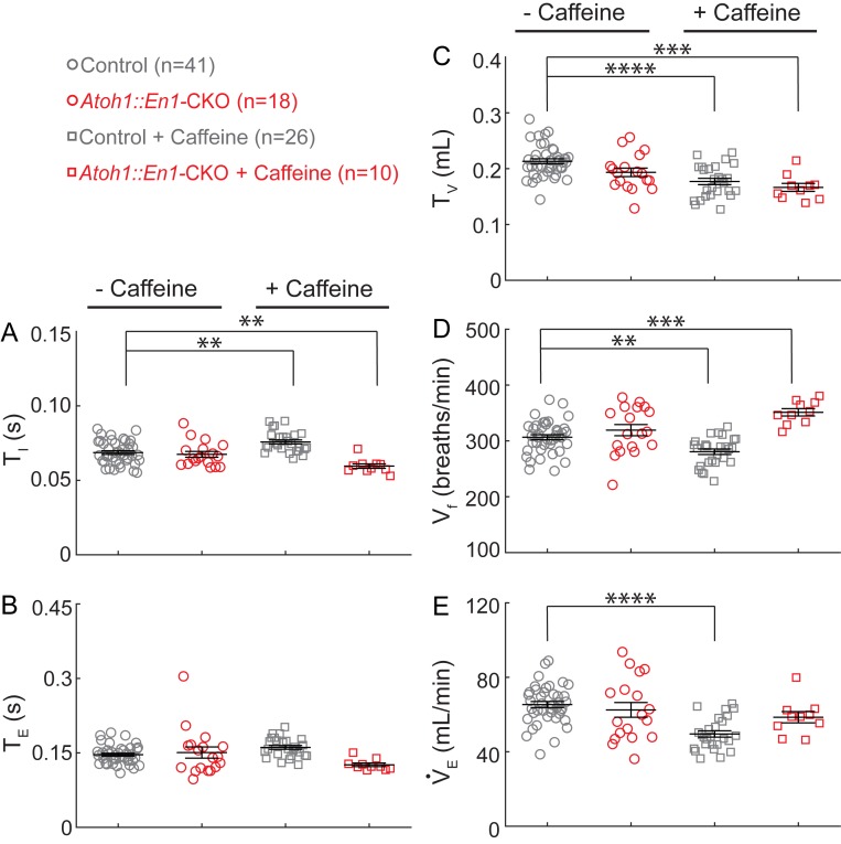 Figure 2—figure supplement 1.