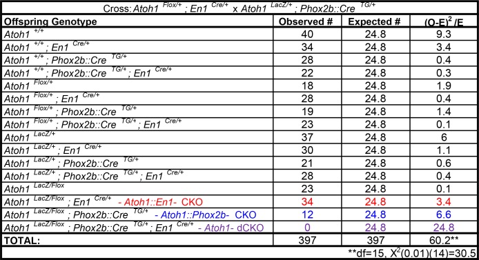 Figure 7—figure supplement 1.