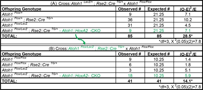 Figure 6—figure supplement 2.