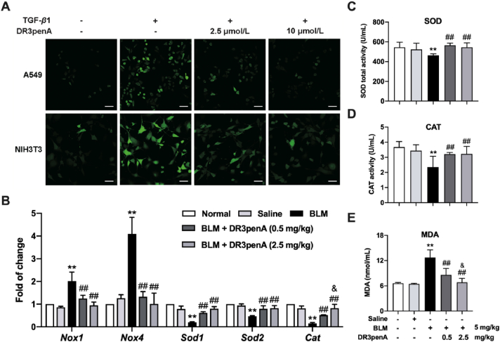 Figure 4