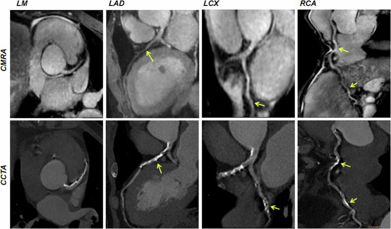 Fig. 6