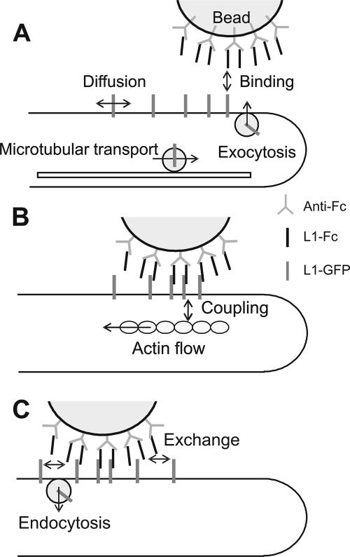 Figure 9.