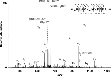 FIGURE 5: