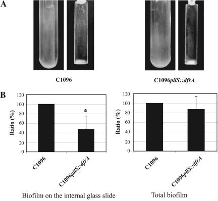 FIG. 8.