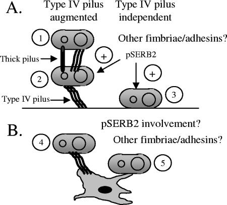 FIG. 9.