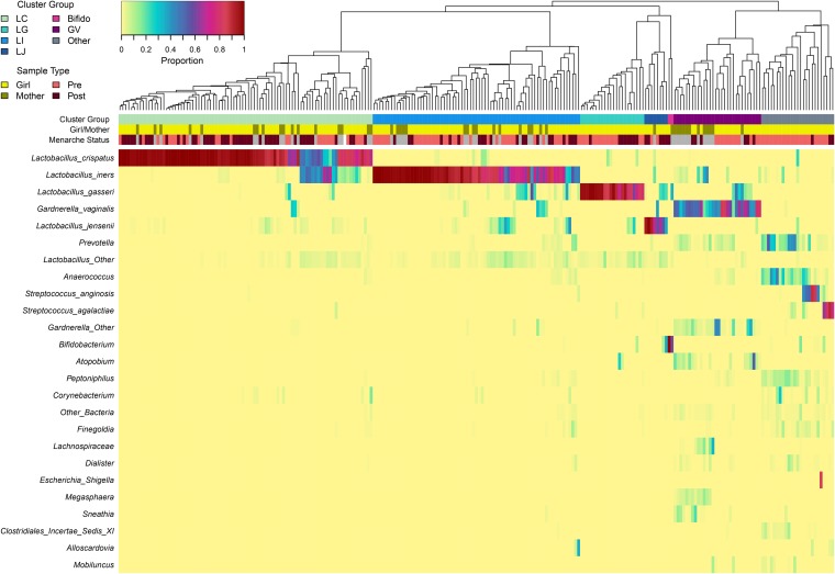 FIG 1