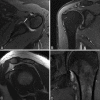 Figure 2(A-D)