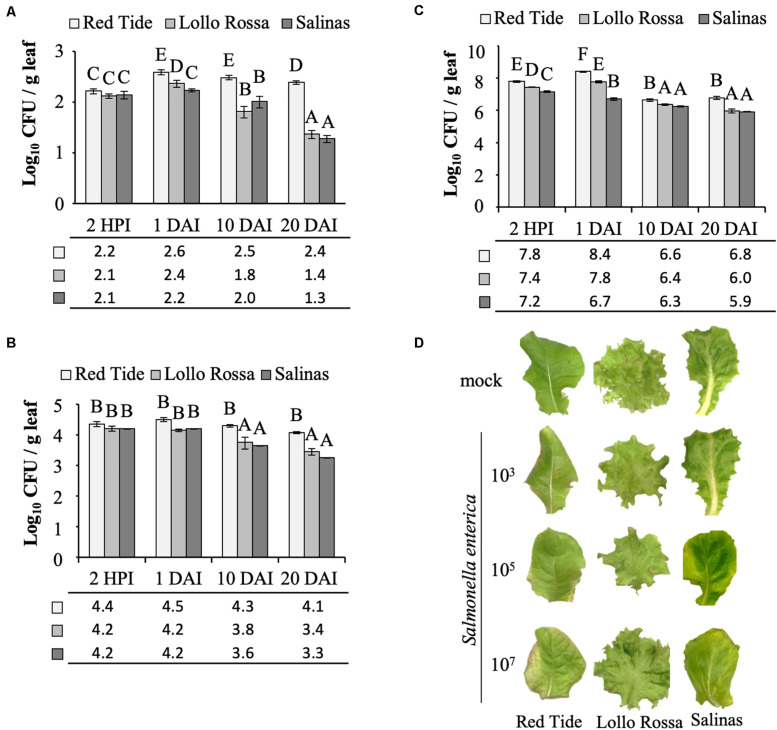 FIGURE 2