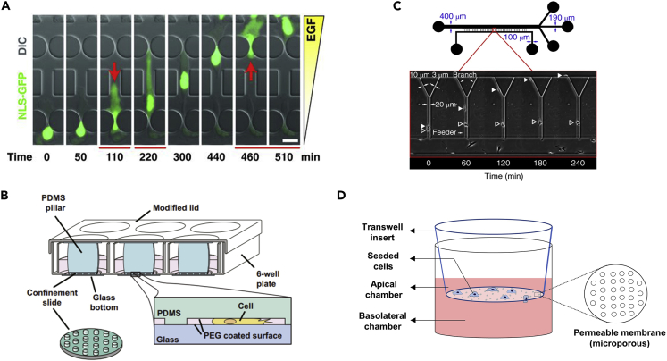 Figure 4