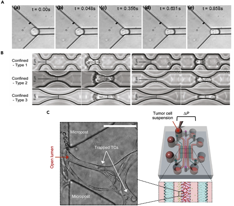 Figure 6