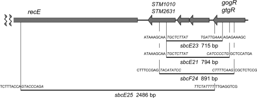 FIG. 5.