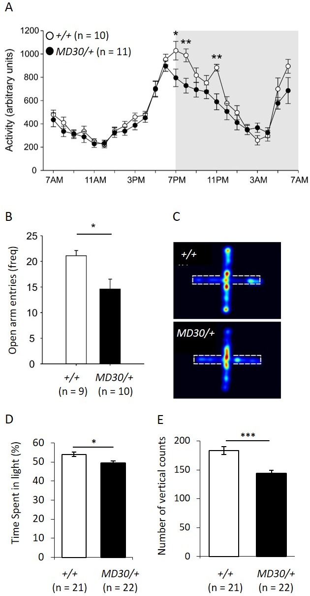 Figure 7.