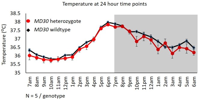 Figure 7—figure supplement 1.