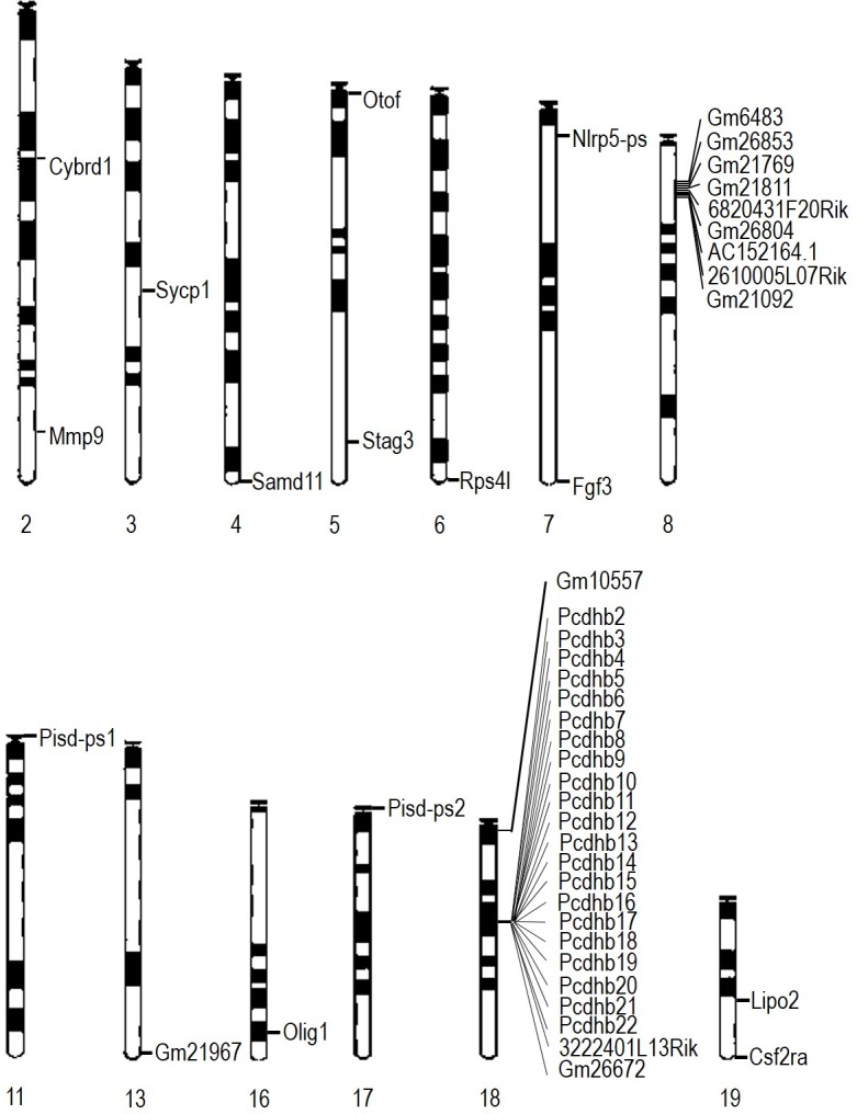 Figure 4—figure supplement 1.