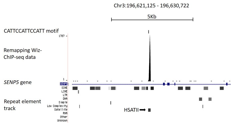 Figure 3—figure supplement 1.