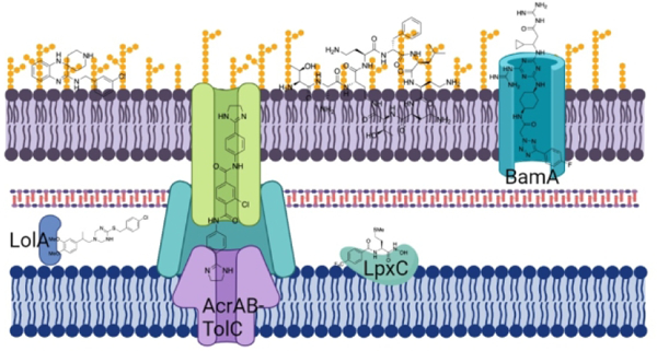 graphic file with name nihms-1864337-f0001.jpg