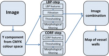 Fig. 5