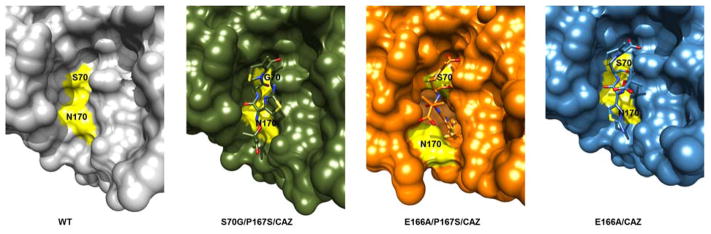 Figure 6