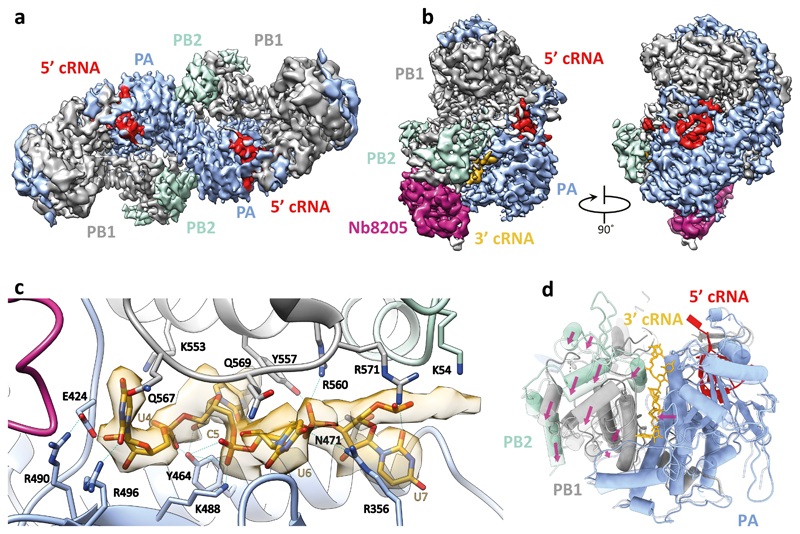 Fig. 3