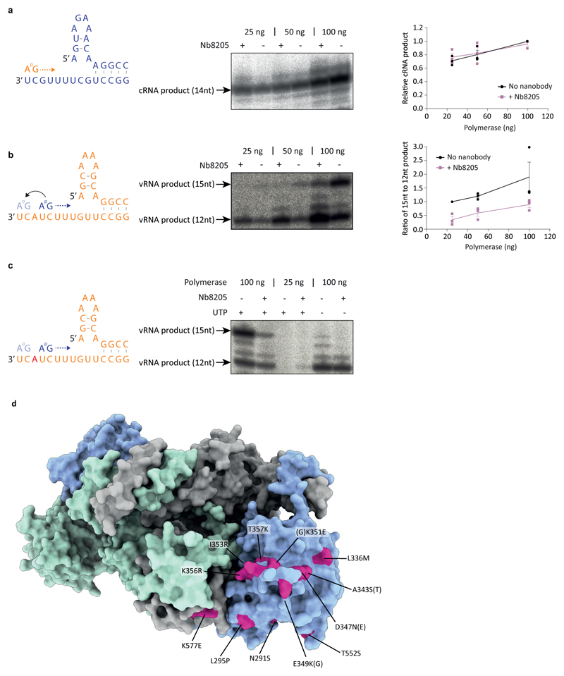 Extended Data Fig. 8